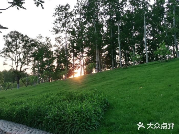 坝河休闲公园图片