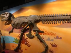 -北京科学中心儿童乐园