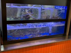 -如轩·海鲜砂锅粥·潮汕菜(南城店)