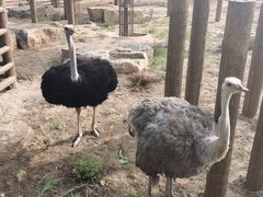 -太原动物园
