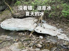 -香炉山国家森林公园