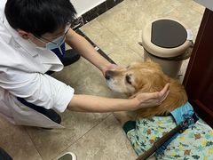 -美联众合动物医院·24h转诊中心