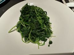 -润苑·悦椿轩(徐汇万科中心一期店)