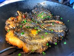 -开海·红岛海鲜虾水饺(石老人店)