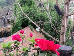 -楠柏弯休闲山庄(梨花溪店)