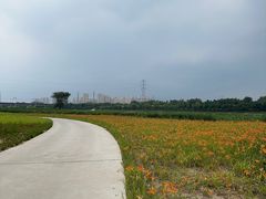 -永定河休闲森林公园
