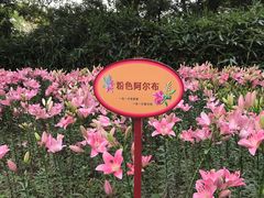 -无锡梅园公园