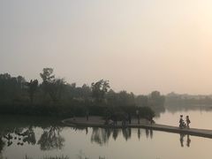 -白鹭湾湿地公园