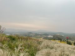-密云玫瑰情园