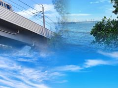 -宝安西湾红树林湿地公园