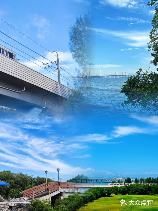 宝安西湾红树林湿地公园图片