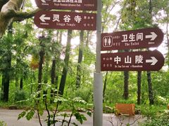 -紫金山山顶公园