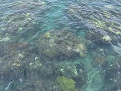 -三亚西岛海洋文化旅游区