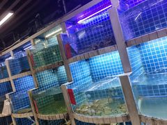 -牛天下·牛肉·海鲜·打边炉·融合菜