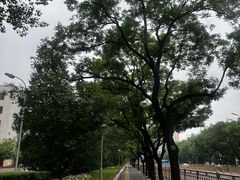 -徽张·新徽菜(五棵松·永定路店)