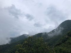 -阳台山自然风景区