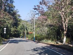 -火炉山森林公园