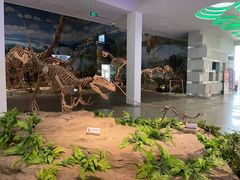 -自贡恐龙博物馆