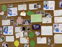 -上海首尔丽格医疗美容医院