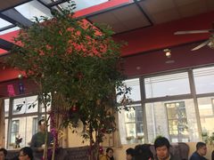 大堂-康豪氏餐厅(酒仙桥店)