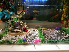 -银鲨海鲜烤肉火锅自助餐厅(五星店)