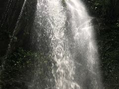 -莫里热带雨林景区