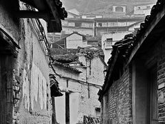-杨家堂村