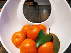 砂糖柑-庆合府重庆大排档(紫都城店)