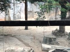 -灵玲国际马戏城