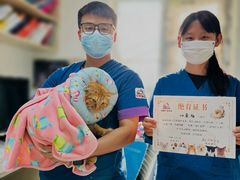 -康爱犬猫诊所·牙专科·骨外科·影像内科(丰宁店)
