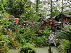 -青城甲(青城山店)