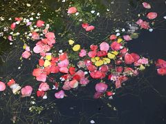 -龙寺生态园