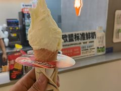 -野人先生现做冰淇淋(北京悠唐购物中心店)