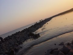 -南汇嘴观海公园