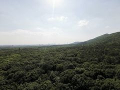 -灵谷景区