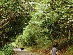 -七星潭蓝天广场