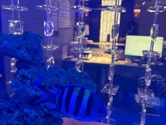 -上和臻品中国菜(花园街店)