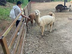 -安徽大青山野生动物世界