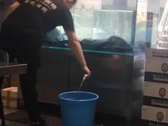 -本炙炭烤·蒲烧活鳗料理店(金沙洲店)