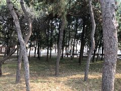 -长辛店二七公园