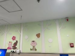 -上海市嘉定区妇幼保健院