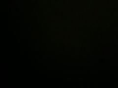 -徐记海鲜(南油永新汇店)