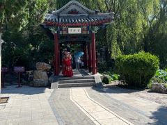 -莲池书院博物馆