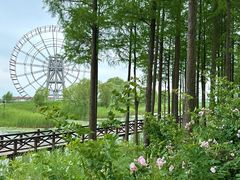 -苏州太湖湖滨国家湿地公园