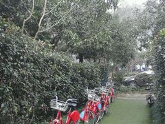 -旅马餐厅(茅家埠店)