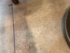 -魏家凉皮(协和店)