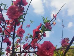 -白水带风景区体育公园