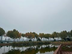 -金银湖国家城市湿地公园