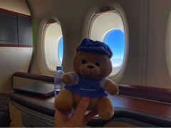 -新加坡航空公司(ION)