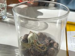 -五进制 Coffee Shop